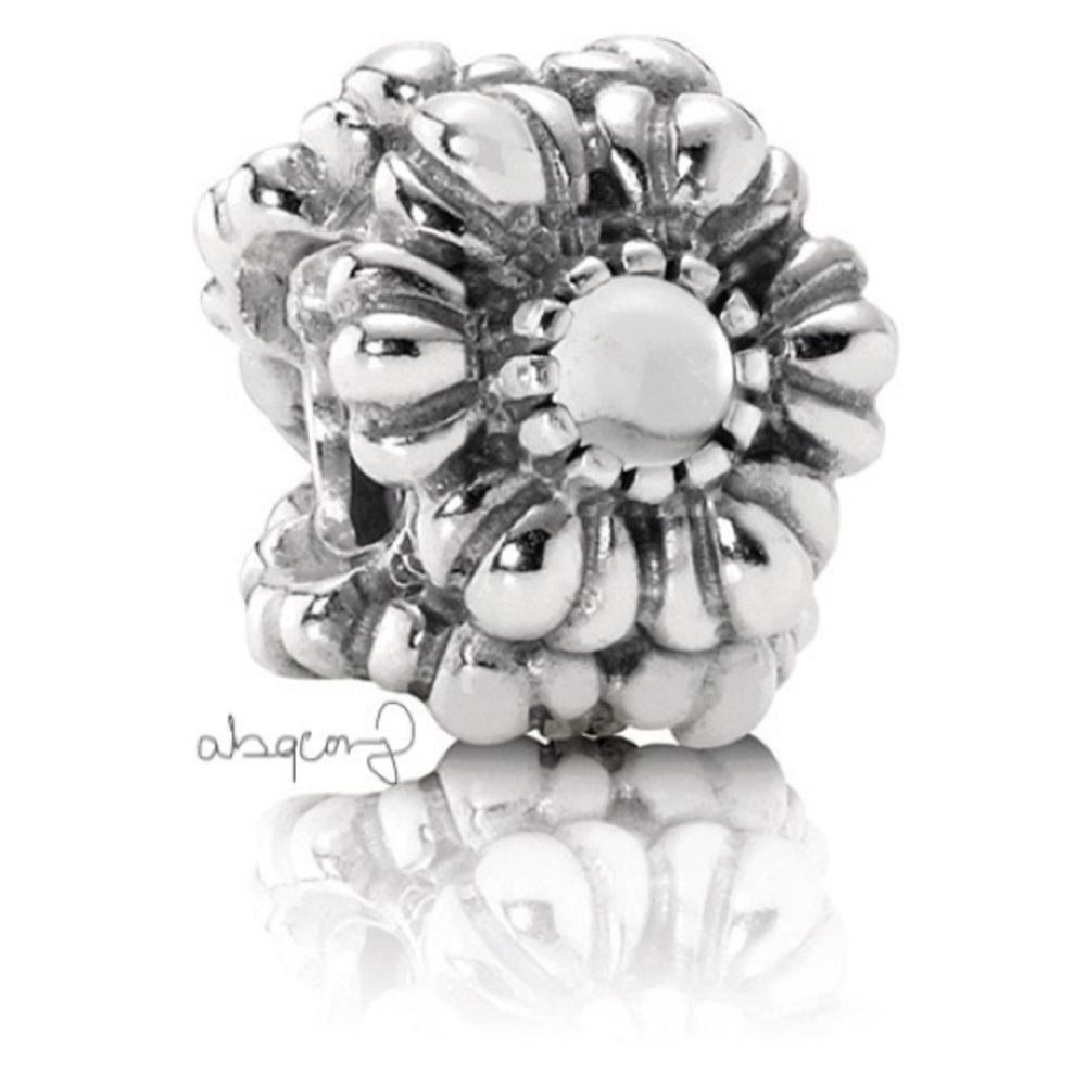 EUC Pandora 790580BK Sterling Silver April Birthday Blooms Charm w/ Rock Crystal